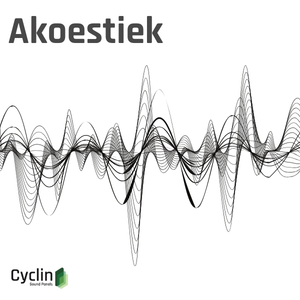 Knoppen-website-antwoord-rekentool akoestiek
